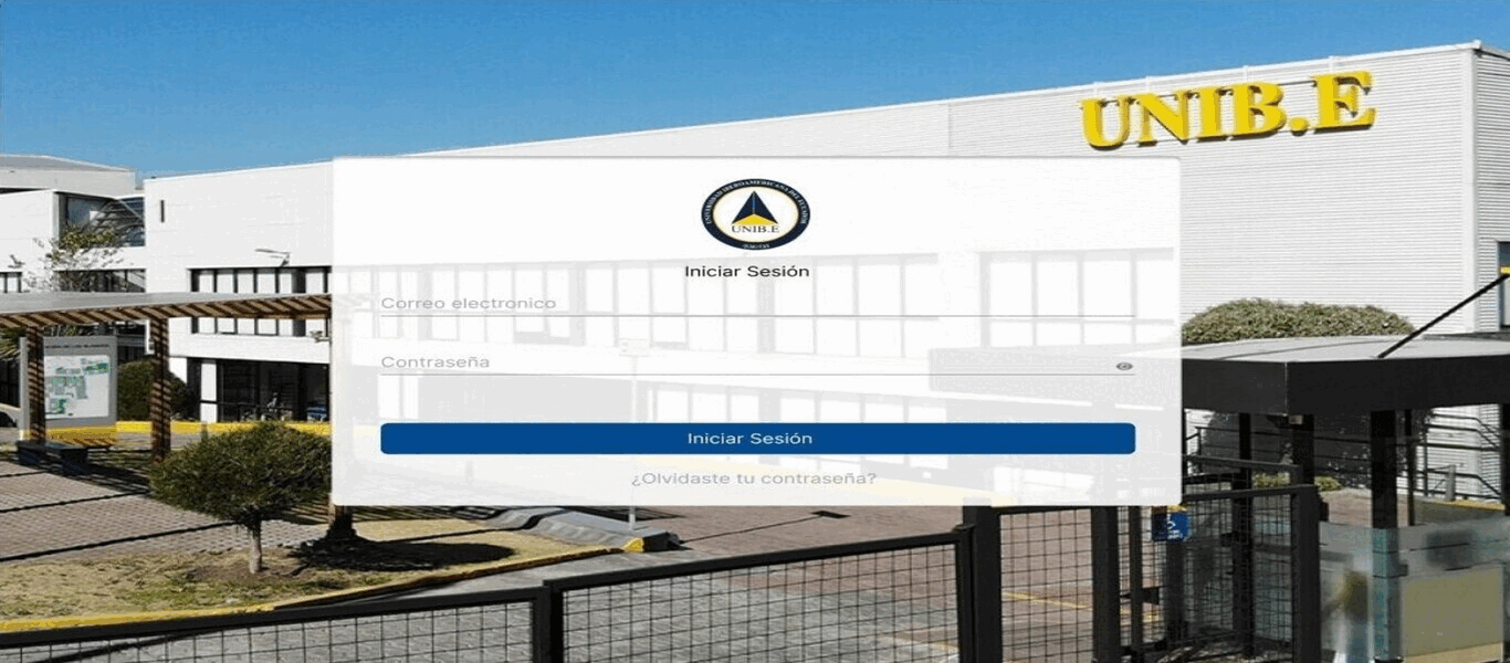 Proyecto 4